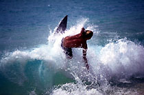 World famous Cocoa Beach surfing pictures