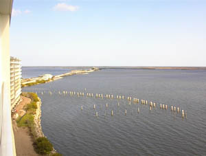 Brevard Wildlife Refuge at Canaveral National Seashore